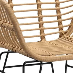 Ronnie Rattan Dining Chair - Set Of 2 -Furniture Sale Store 13644186 1804997056966623