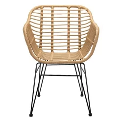 Ronnie Rattan Dining Chair - Set Of 2 -Furniture Sale Store 13644186 5744997056744611