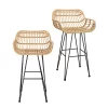 Ronnie Rattan Bar Stool - Set Of 2